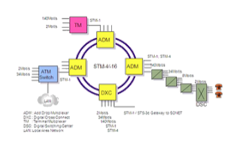 SDH Network