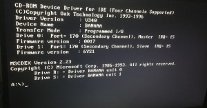 DOSscreen